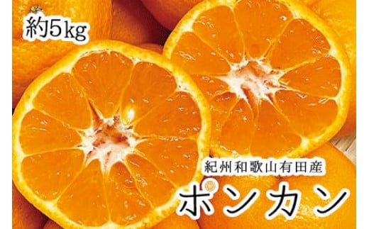 紀州和歌山有田産ポンカン　5㎏ ※2024年2月上旬頃～2024年2月中旬頃に順次発送（お届け日指定不可）