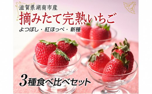 贈答用】滋賀県湖南市産 摘みたて完熟いちご3品種食べ比べセット（よ