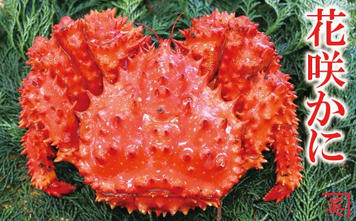 A 北海道根室産 花咲蟹800 900g 1尾 北海道根室市 ふるさとチョイス ふるさと納税サイト