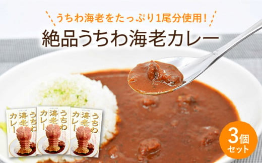 全3回定期便】【ウチワエビ1尾分！！】絶品 ウチワエビカレー 計9個（3