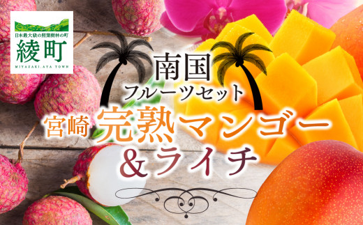 完熟 マンゴー & ライチ セット 宮崎 高級 果物 フルーツ ギフト 贈答 先行受付 送料無料（14-72）