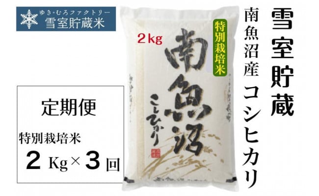 2400円 引出物 ふるさと納税 南魚沼市 氷温熟成南魚沼産こしひかり パックご飯180g