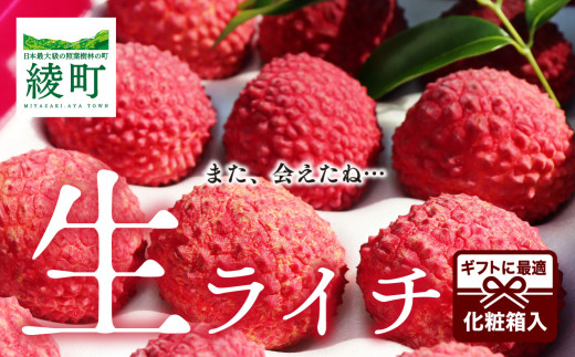 生ライチ 国産 化粧箱 希少 果物 宮崎 高級 ギフト 贈答 先行受付 予約