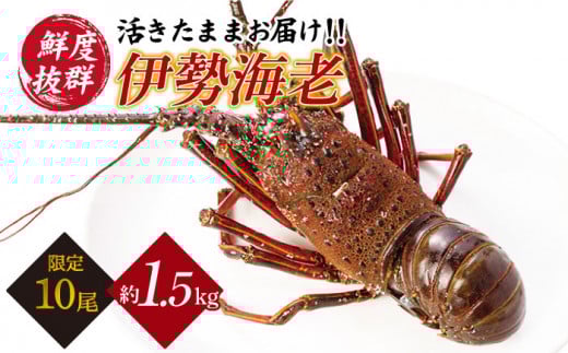 鋳物　伊勢海老　江戸時代 鋳物 伊勢海老 江戸時代