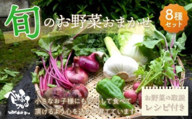 【京都府京丹後市】旬のお野菜おまかせ8種セット（2〜3人）