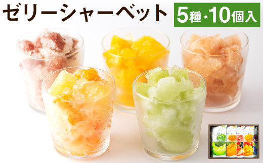 【熊本県菊池市】ゼリーシャーベット 10個 セット フルーツ 果物 アイス メロンドーム