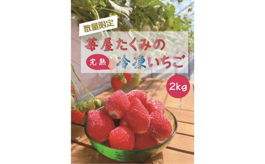【群馬県前橋市】R3-34　苺屋たくみの冷凍いちご