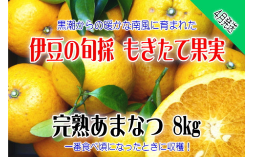 もぎたて果実 あまなつ 8kg A023／収穫体験農園ふたつぼり 柑橘