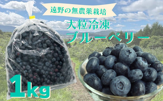 遠野で育った無農薬栽培の大粒冷凍ブルーベリーLサイズ・１kg【道の奥ファーム】 - 岩手県遠野市｜ふるさとチョイス - ふるさと納税サイト