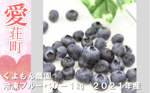 くよもん農園 冷凍ブルーベリー 1kg 2021年度産 【人気の返礼品