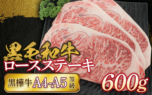 yF{ÓzFKK19-170 јa@A4`A5@[XXe[L600g