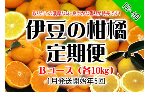 東伊豆産 伊豆の柑橘 定期便 Bコース E013／収穫体験農園ふたつ