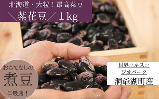【北海道洞爺湖町】[��5834-0552]北海道・洞爺湖町産 高級菜豆の紫花豆1kg（500g×2袋）