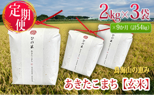 《定期便》6kg×9ヶ月 秋田県産 あきたこまち 玄米 2kg×3袋 神宿る里の米「ひの米」（お米 小分け）