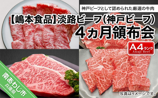 サンプル写真
