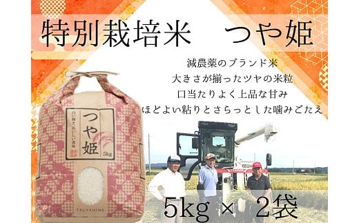 【特別栽培米で減農薬】出雲産つや姫　5kg×2袋【2-041】