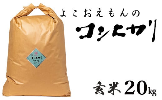 【島根県益田市】B-745 横尾衛門のコシヒカリ 玄米 20kg