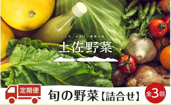 定期便 全3回』【土佐野菜】旬の野菜の詰め合わせ - 高知県南国市｜ふるさとチョイス - ふるさと納税サイト