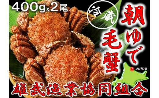 食品函館浜茹で毛ガニ２尾 １kg - 魚介