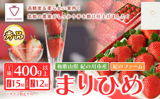 【贈答用/熨斗非対応】 苺 まりひめ 1箱 400g以上 紀のファーム株式会社《12月上旬-2024年5月上旬頃出荷》 和歌山県 紀の川市 秀品