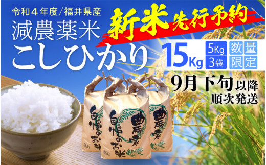 新米入荷！令和2年産「特別栽培米夢ごこち玄米」玄米30㎏ すぐに発送