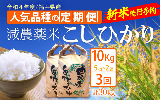 減農薬 あきさかり福井県産の令和4年産 玄米25kg 農家直送 管理番号 - 米