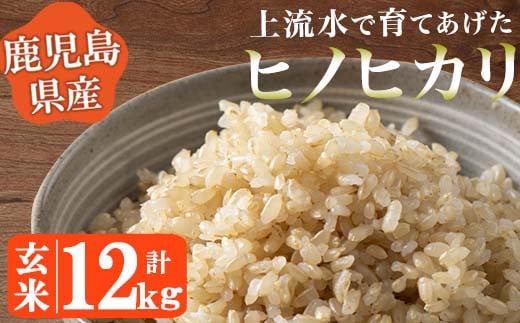 No.777 《令和5年産！》鹿児島県産！ヒノヒカリ玄米(12kg) 鹿児島県産 米 お米 玄米 ごはん ヒノヒカリ  小分け【大潟屋】【777】【776】 - 鹿児島県日置市｜ふるさとチョイス - ふるさと納税サイト