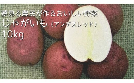 【茨城県行方市】CN-10 夢見る農民が作る美味しい野菜　じゃがいも（アンデスレッド）10kg
