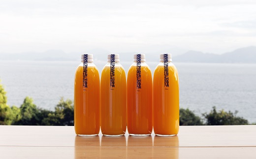 【大三島いろいろ】特売！6種類詰合せジュースで色々な味を味わってください しまなみみかんジュースセット 500ml 5本セット みかんジュース