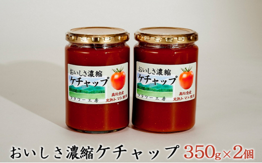 yΐ쌧Fsz[5984-0041]ZkP`bv 350g×2
