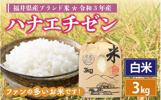 本日限定！☆令和2年度収穫コシヒカリ白米27ｋｇの出品です。小分け可/玄米可