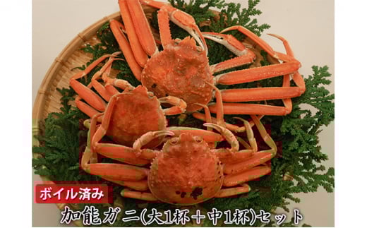 yΐ쌧Fsz[5984-0123]y[iwsz\Kji1t+1tjZbg@{Cς