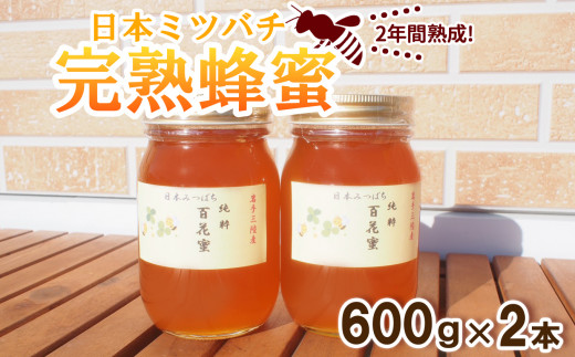 感謝を込めて価格改定】 2年間熟成！ 希少な日本ミツバチ完熟蜂蜜 600g 