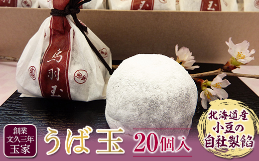 【福島県白河市】創業文久三年 玉家 うば玉20個入 F21R-010