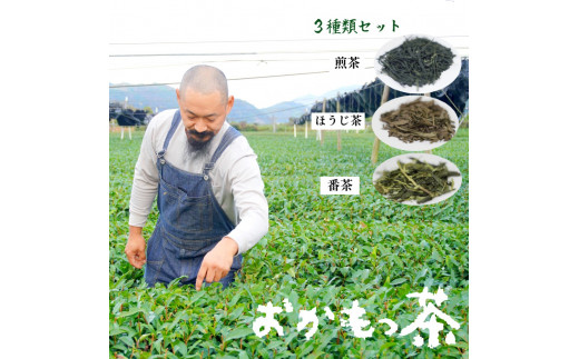 【京都府舞鶴市】おかもっ茶 煎茶 ほうじ茶 番茶 ３種類 セット