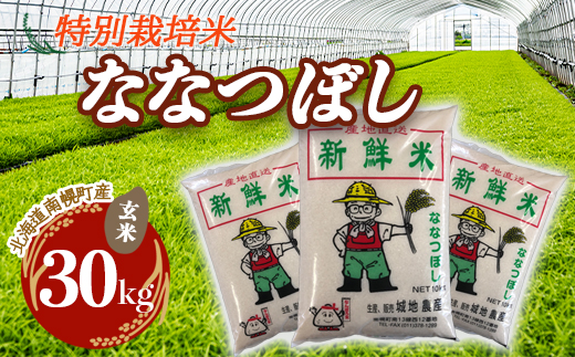 【北海道南幌町】特別栽培米 ななつぼし（玄米）30kg 令和4年度米 2022年10月発送 NP1-058