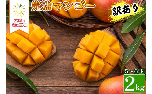 沖縄県 豊見城産 アップルマンゴー ドラゴンフルーツ2kg