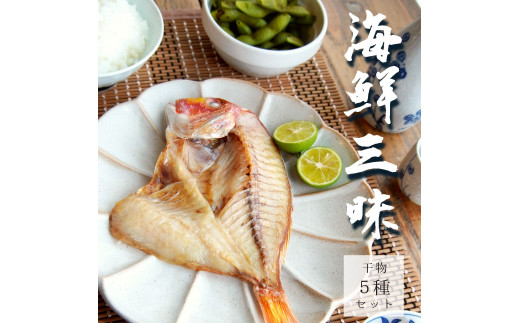 【京都府舞鶴市】海鮮三昧 干物 ５種 詰め合わせ セット