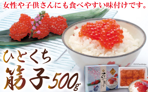 サンプル写真