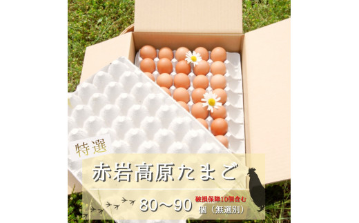 赤岩高原たまご 80～90個入（特選/無選別Ｍ～Ｌ） 4.8kg以上 卵 大人数用