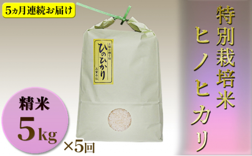 yɌPHsz[5258-0548]yցz ʍ͔|ā@ā@qmqJ@5kg×5