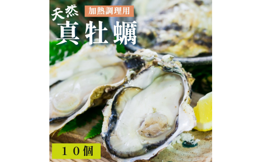 天然 活 真牡蠣 10個 （加熱調理用） 殻付き 舞鶴産 京都産 牡蠣 オイスター 貝 海鮮 二枚貝 オイスター 京都 舞鶴 かき小屋 美味星 -  京都府舞鶴市｜ふるさとチョイス - ふるさと納税サイト