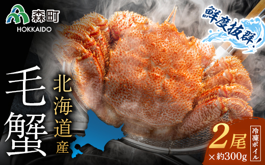 【北海道産】高級　ボイル毛がに　約300ｇ　2尾セット　冷凍　毛蟹　カニ　毛ガニ