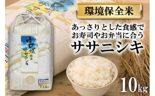 お米 6回 定期便 みやぎ米 だて正夢 5kg×6回 総計30kg [菊武商店 宮城