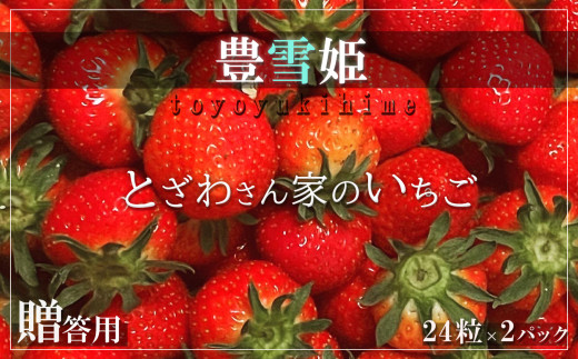 完熟いちご「豊雪姫（とよゆきひめ）」贈答用 24粒×2パック【と