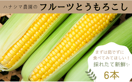 生で食べれるほどの新鮮さと甘さ！フルーツとうもろこし【6本入箱