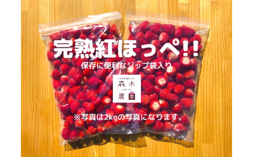【静岡県牧之原市】060-11　完熟冷凍いちご2kg以上！森木農園が育てる、濃く甘いちご『紅ほっぺ』