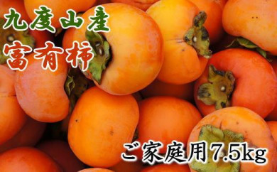 【和歌山県日高町】≪柿の名産地≫九度山の富有柿約7.5kgご家庭用