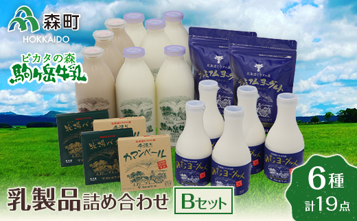 【北海道森町】ピカタの森駒ヶ岳牛乳 乳製品詰め合わせ （6種類）Bセット F4C-0038