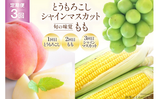 シャインマスカット 産地直送 山梨の人気商品・通販・価格比較 - 価格.com